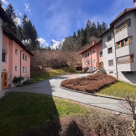 Alpine Oasis Διαμέρισμα Hermagor-Pressegger See