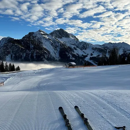 Appartement Alpine Oasis *