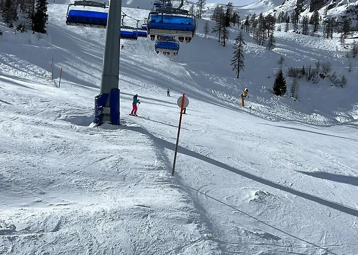 Apartament Alpine Oasis *