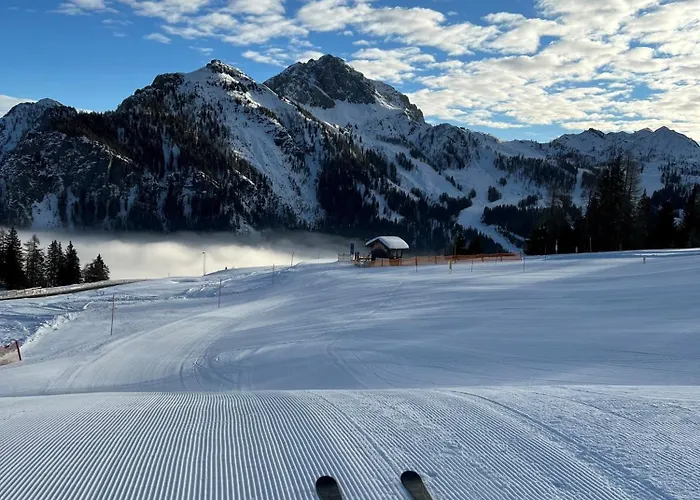 Apartament Alpine Oasis *