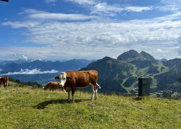 Apartament Alpine Oasis Hermagor-Pressegger See